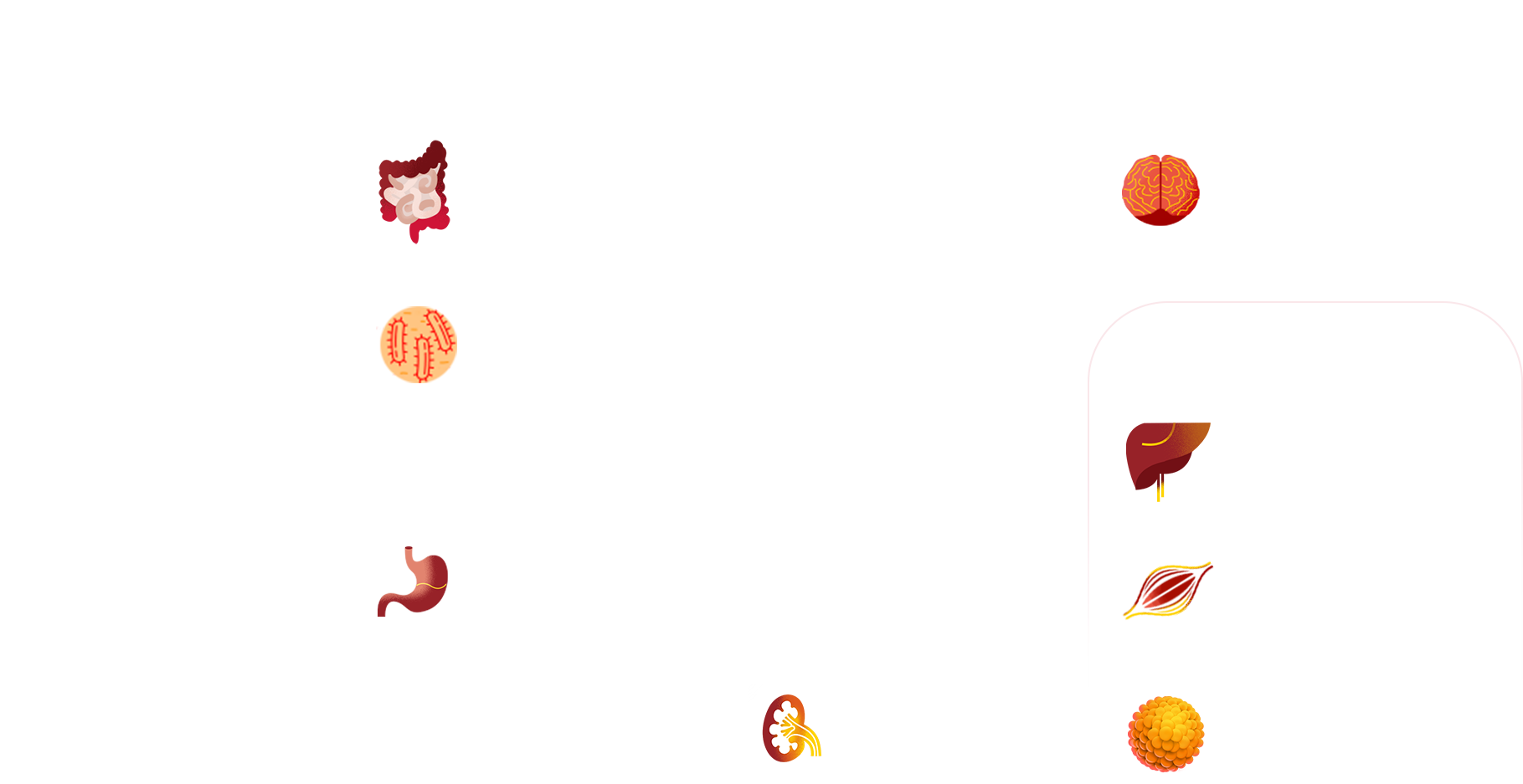 Звенья патогенеза СД2 2016г.