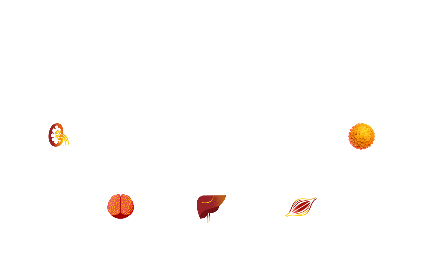 Смертельный октет 2009г.